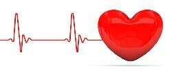 ПАМЯТКА по профилактике сердечно-сосудистых заболеваний