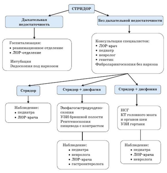 Схема наблюдения ребенка с врожденным храпом