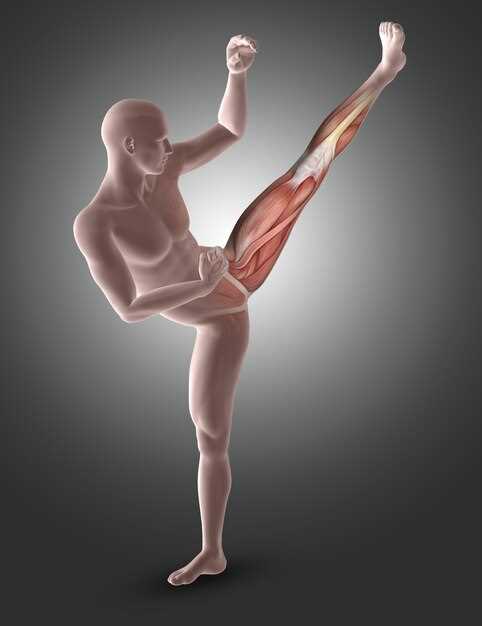 Плечевой сустав: анатомия и его роль в движении