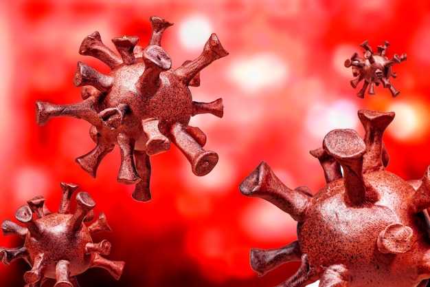 Антитела в крови: роль в защите организма от инфекции