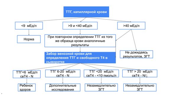 Интерпретация результатов исследования и необходимость применения заместительной гормональной терапии