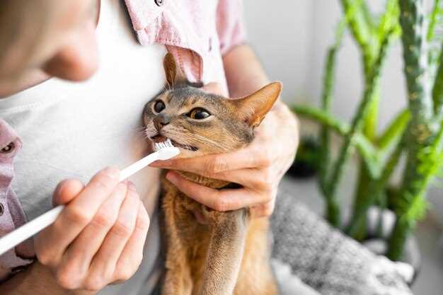 Генетическая предрасположенность и аллергия на кошек