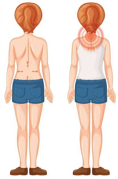Основные функции органа слева под ребрами спереди у женщины