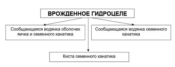 Классификация гидроцеле по наличию облитерации вагинального отростка