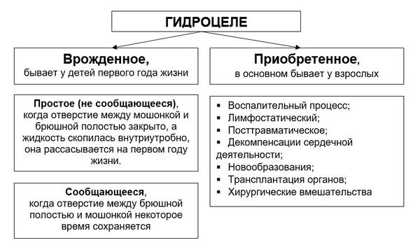 Классификация гидроцеле по времени появления