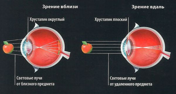 Механизм аккомодации