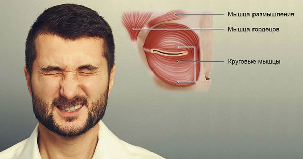 Мышцы, сокращающиеся при блефароспазме