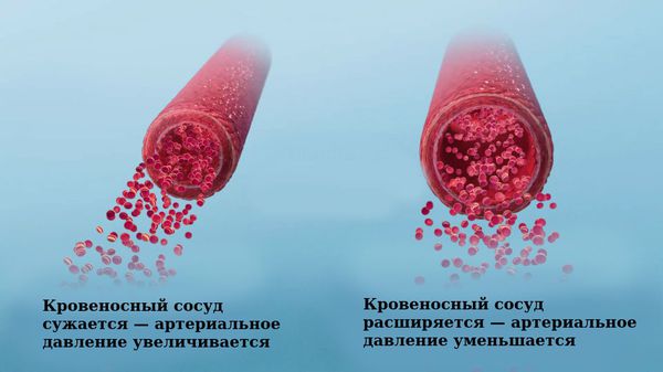 Периферическое сопротивление сосудов