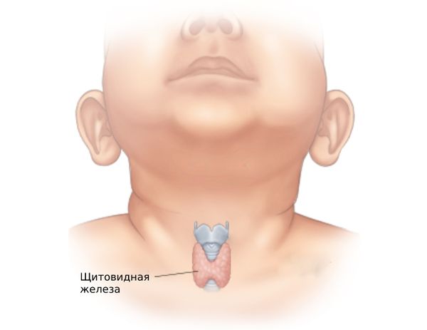 Врождённый гипотиреоз: причины, симптомы и лечение