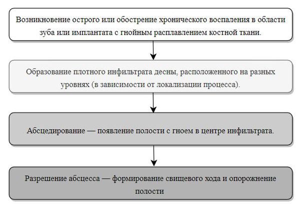 Этапы развития абсцесса 