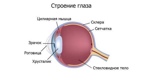 Астенопия: что это такое, лечение астенопии глаз