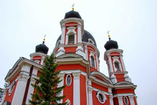 История Свято-Елизаветинского монастыря