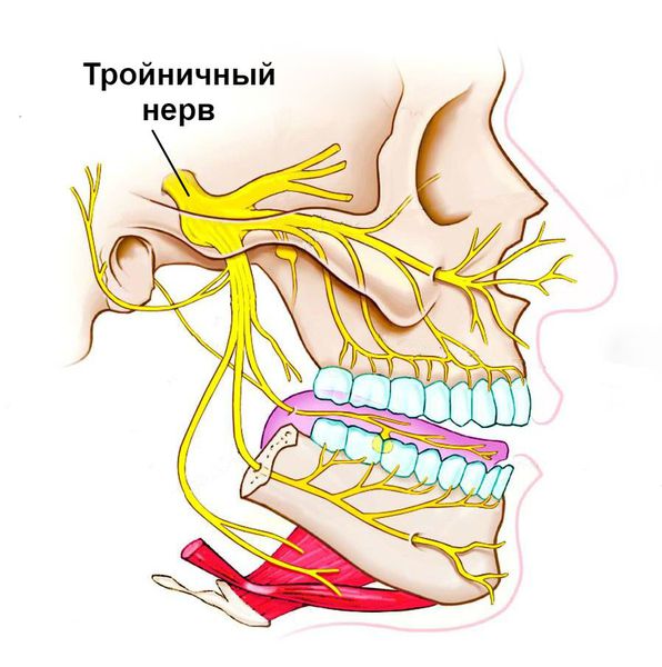 Тройничный нерв