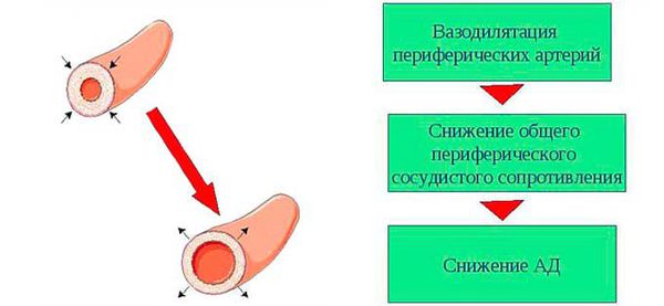 Уменьшение общего периферического сопротивления сосудов