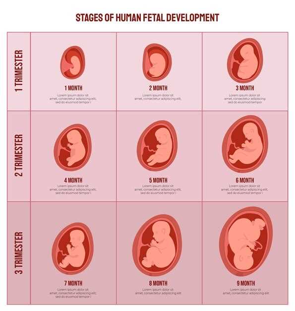 Во сколько недель появляется эмбрион в плодном яйце?