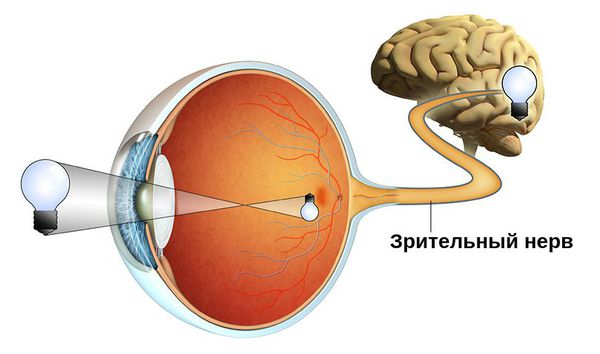 Атрофия зрительного нерва: лечение, что это, симптомы, причины